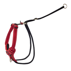 Spsj05   c stop pull harness