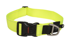 Hb19 h utility classic collar xxl dayglo
