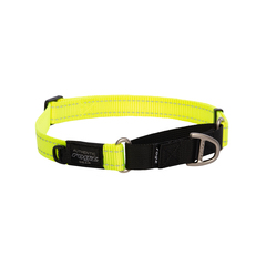 Hcw06 h utility control collar web l dayglo