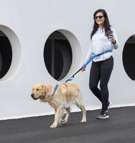 Hands free outlet leash