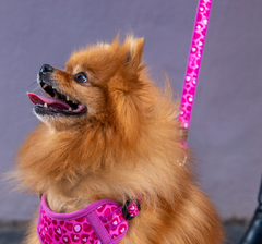 Comfy harness lifestyle small wild hearts 1